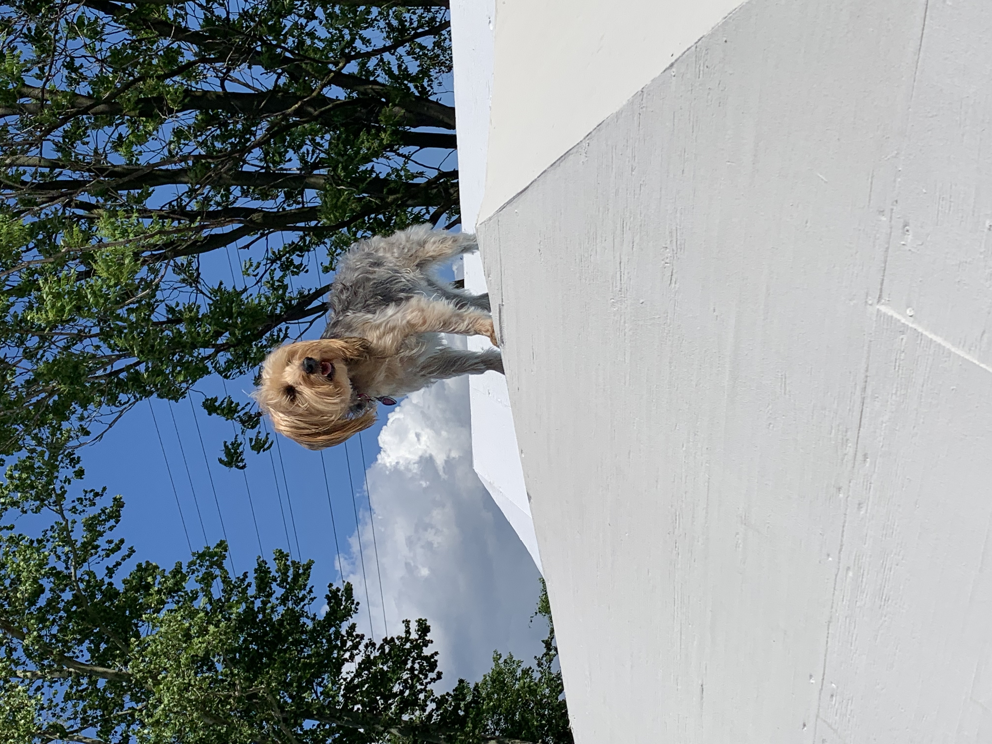 ./2022/06 - St Louis/06 - Day 6/20220526-102113916.JPG